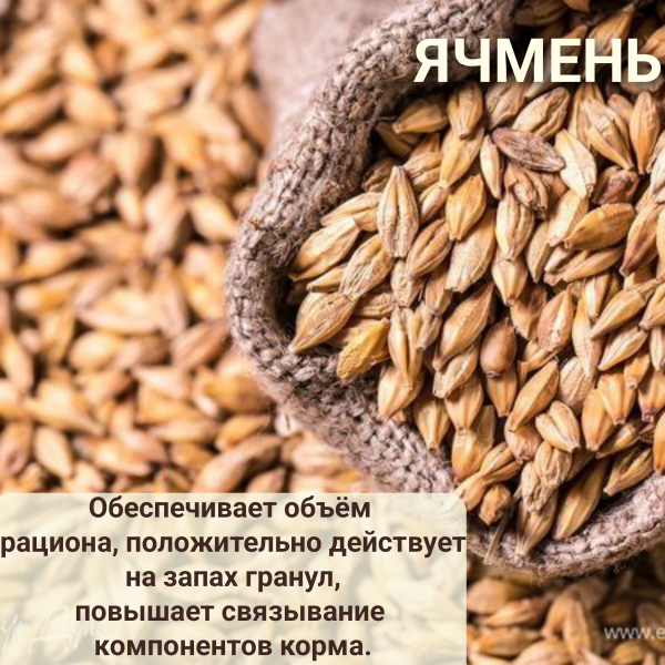 LiveRa Сухой гипоаллергенный корм для щенков и собак  Hypoallergenic с Индейкой и Лососью,мелкие и средние породы Лимпопо, зоомагазин в Калуге