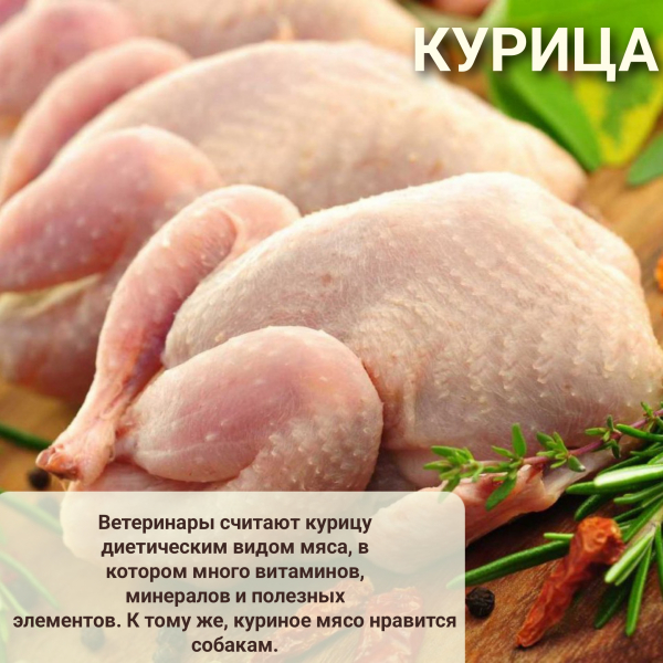 LiveRa 15кг Сухой Корм для щенков мелких и средних пород Курица- Индейка Лимпопо, зоомагазин в Калуге