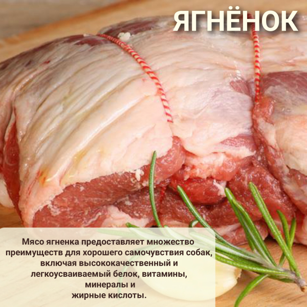 LiveRa 15кг Беззерновой сухой корм для взрослых собак Lamb & Rice ягнёнок с рисом Лимпопо, зоомагазин в Калуге