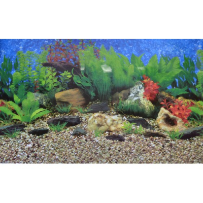 Барбус Фон 012 Гаваи/Кораллы 60см Цена за 1м Лимпопо, зоомагазин в Калуге